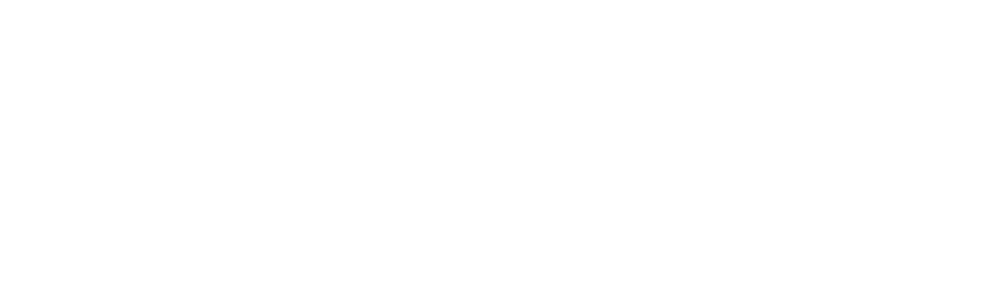 Logo of Ozyegin University